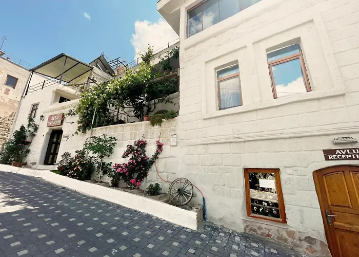 酒店 Avlu Cave House